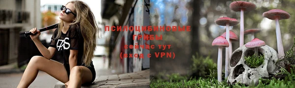 ешки Надым