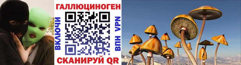 omg маркетплейс  shop клад  Псилоцибиновые грибы мицелий  Сасово 